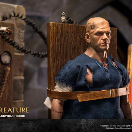 The Horror of Frankenstein My Favourite Movie Action Figure 1/6 The Creature Deluxe Version 30 cm