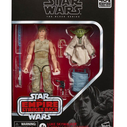 Star Wars Episode V Black Series Figurka 2-Pack 2020 Luke Skywalker i Yoda (Jedi Training)