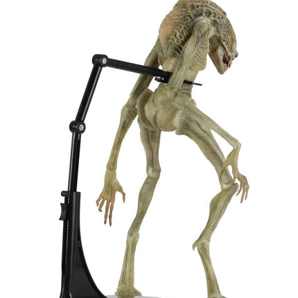 Newborn Deluxe  Action Figure Alien Resurrection  28cm NECA 51654 (3948446908513)