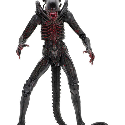 Alien Figurka 18cm 40. rocznica Seria 2 Kenner NECA 51698
