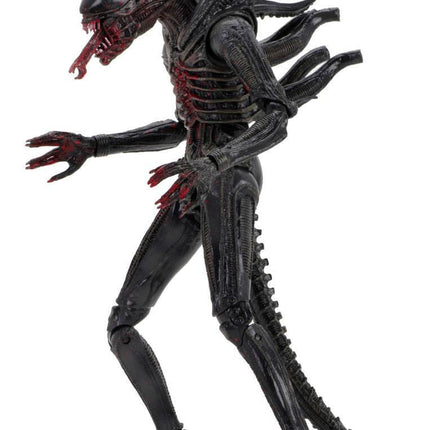 Alien Figurka 18cm 40. rocznica Seria 2 Kenner NECA 51698