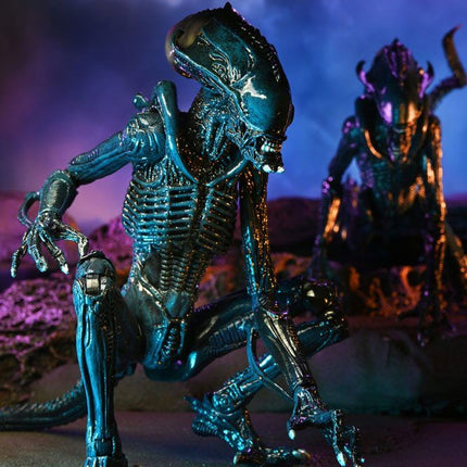 Alien vs Predator Figurka 20 cm Alien Case NECA 51717 - MARZEC 2022