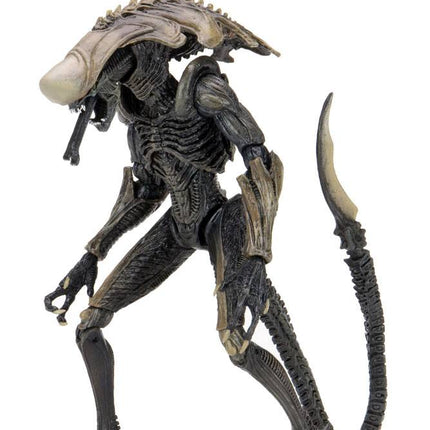 Alien vs Predator Action Figure 20 cm Alien Case NECA 51717 - MARCH 2022